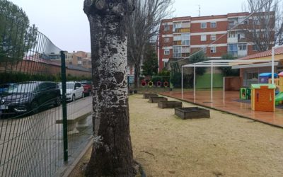 CEIP Antonio Machado