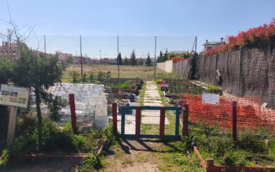 CEIP El Peral