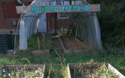 CEIP Francisco Giner De Los Ríos
