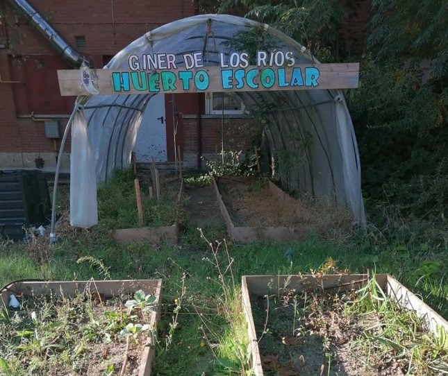 Fco Giner de los Ríos 1 ok Fco Giner de los R
