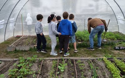 CEIP Francisco Pino