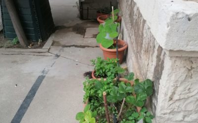 CEIP Isabel La Católica