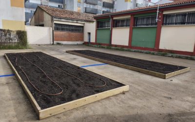 CEIP José Zorilla
