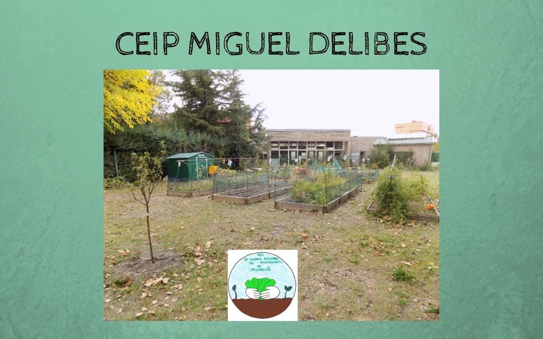 Ecos de prensa: Ceip Miguel Delibes