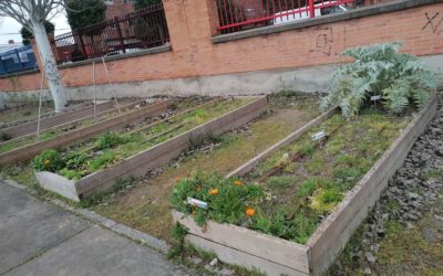 CEIP Antonio Allúe Morer