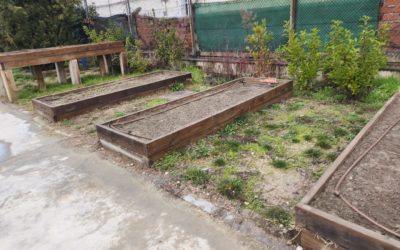 CEIP Pedro Gómez Bosque