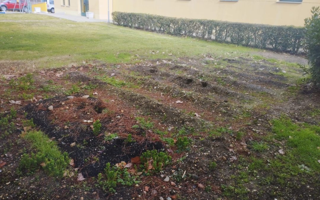 CEE El Pino de Obregón