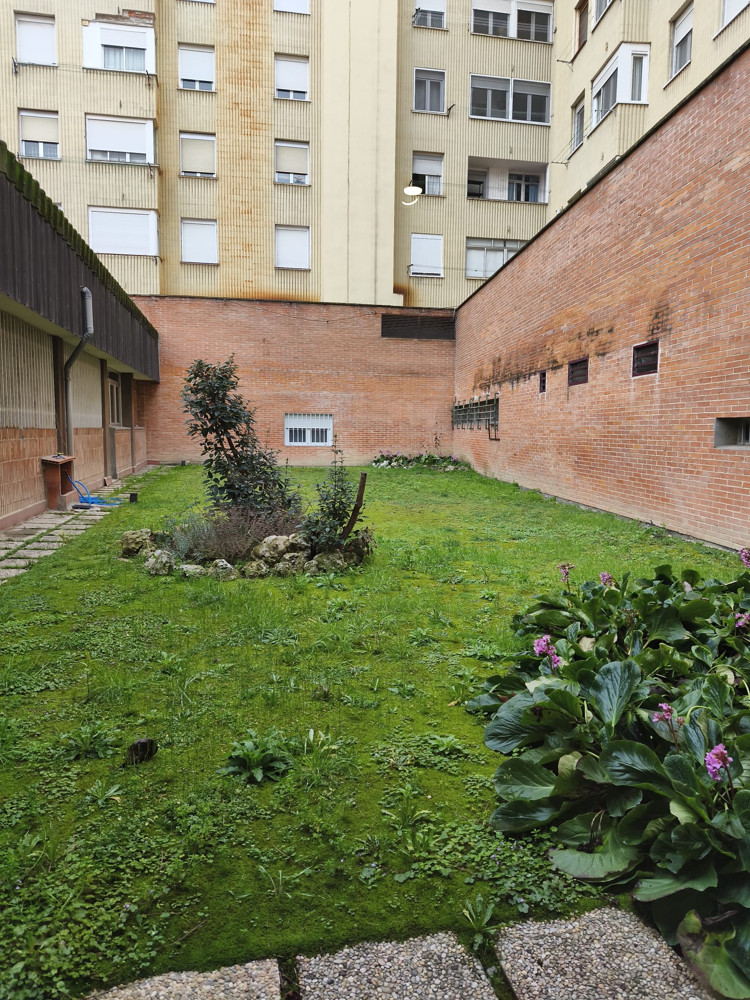 Foto Safa Grial Foto Safa Grial